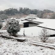 雪の前田農場
